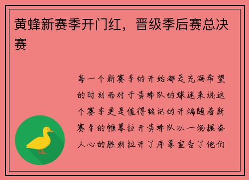 黄蜂新赛季开门红，晋级季后赛总决赛