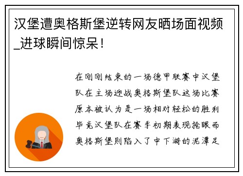 汉堡遭奥格斯堡逆转网友晒场面视频_进球瞬间惊呆！