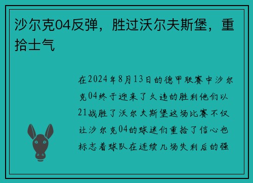 沙尔克04反弹，胜过沃尔夫斯堡，重拾士气