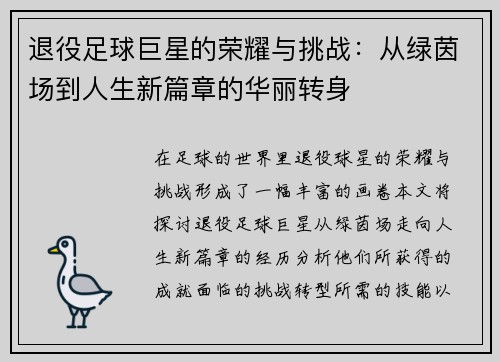退役足球巨星的荣耀与挑战：从绿茵场到人生新篇章的华丽转身