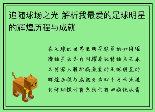 追随球场之光 解析我最爱的足球明星的辉煌历程与成就