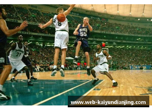 舒勒NBA：梦幻篮球场上的传奇与挑战